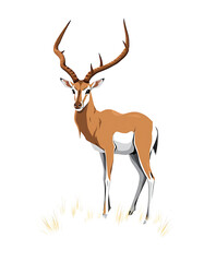 Naklejka premium Serene Deer – Wildlife Tranquility 