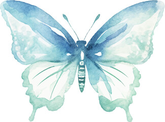 Vector watercolor painted butterfly. Hand drawn design elements isolated on white background.