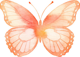 Vector watercolor painted butterfly. Hand drawn design elements isolated on white background.