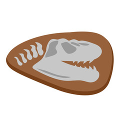 Dinosaur Bone Fossils