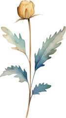 Vector Watercolor painted flower. Hand drawn flower design elements isolated on white background.