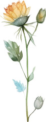 Vector Watercolor painted flower. Hand drawn flower design elements isolated on white background.