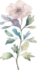 Vector Watercolor painted flower. Hand drawn flower design elements isolated on white background.