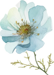 Vector Watercolor painted flower. Hand drawn flower design elements isolated on white background.