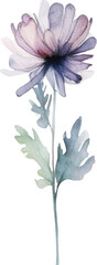 Vector Watercolor painted flower. Hand drawn flower design elements isolated on white background.