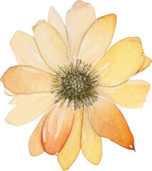 Vector Watercolor painted flower. Hand drawn flower design elements isolated on white background.