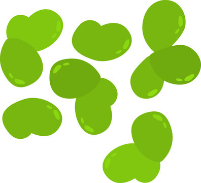 Duckweeds
