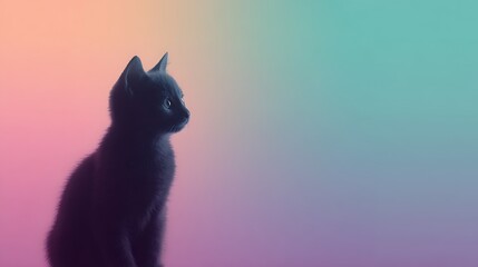 Silhouette kitten, soft hues