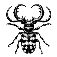 stag beetle vector