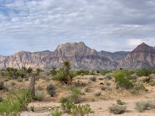 &lrm;⁨Red Rock Canyon National Conservation Area⁩, ⁨Las Vegas⁩, ⁨Mojave Desert⁩, ⁨United States⁩