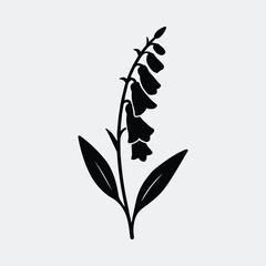 Silhouette foxglove flower blooming with leaves vector illustration © CreatiMart