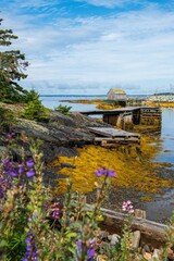 Obraz premium Serene Coastal Landscape with Wooden Dock