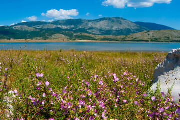 Beautiful nature background featuring the calm waters of Blidinje Lake and its serene environment.