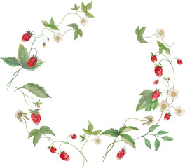 Watercolor Strawberry Wreath. Hand drawn illustration. Vector EPS.