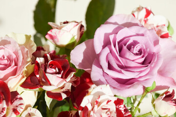 カラフルなばら