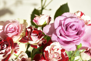 カラフルなばら