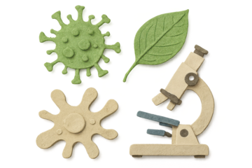 Science elements, including a virus, leaf, amoeba and microscope on transparent.