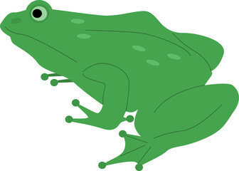 Frog Sitting Cartoon Illustration
