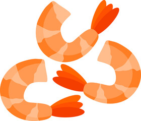 Cooked Shrimp Illustration
