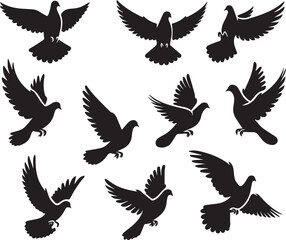 Obraz premium Pigeon Vector Silhouette Set – Clean Flying Bird Poses – Minimal Flat Bird Illustration