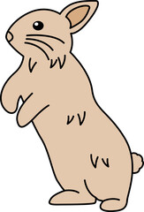 Cute Rabbit Bunny Illustration
