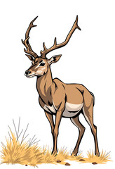 Fototapeta premium Serene Deer – Wildlife Tranquility 
