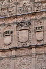 Close-up of the intricate stone carvings and heraldic symbols on the facade of Salamanca Cathedral showcasing detailed Gothic craftsmanship
