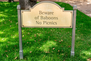 Kapstadt Pavian Warnschild goldfarbenes Schild mit einer geschwungenen Oberkante