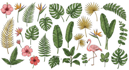 Tropical Delight: An assortment of meticulously illustrated tropical elements, showcasing the vivid beauty of leaves and flora.