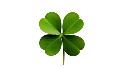 A vibrant green four leaf clover isolated on transparent background, representing luck and St Patricks day.