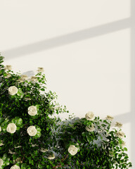 Soft white roses climbing a green vine on a bright, minimal white wall.