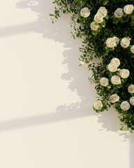 White roses beautifully scattered across green vines, casting shadows on a white wall.