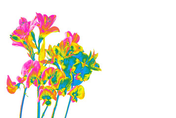 Vibrant digitally processed flowers in bright cyan, magenta, and yellow hues on clean white background. Bold and modern floral design. Copy space