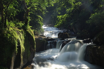Naklejka premium Nang Rong waterfall is a multi-tiered waterfall plunges down to several rock formations below, and then flows into the lush surrounding forests ,Nakhon Nayok province ,Thailand