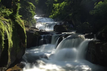 Gordijnen Bos rivier Nang Rong waterfall is a multi-tiered waterfall plunges down to several rock formations below, and then flows into the lush surrounding forests ,Nakhon Nayok province ,Thailand  © Jimmynature