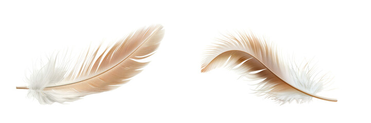 Obraz premium Set of realistic soft white and beige feathers isolated on transparent background