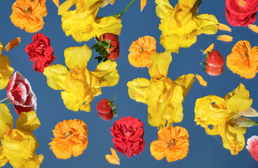 Bright yellow and red flowers with strawberries floating on mirror with blue sky reflection. Creative floral layout with natural light. Top view