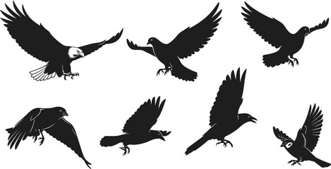 Obraz premium Eagles, crows, ravens, and sparrows are in flight, isolated on white background