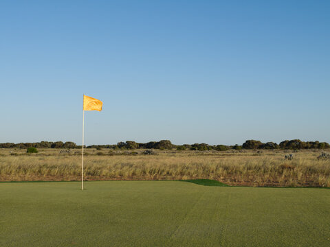 Golf putting green on the Nullarbor Plain with a big blue sky