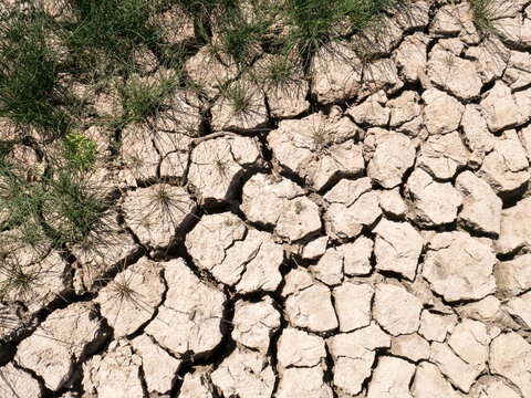 Dry mud showing cracks from lack of rain