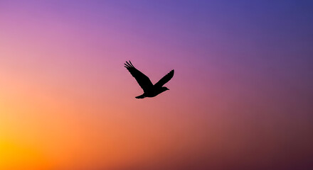 Silhouette of Bird in Sunset Sky