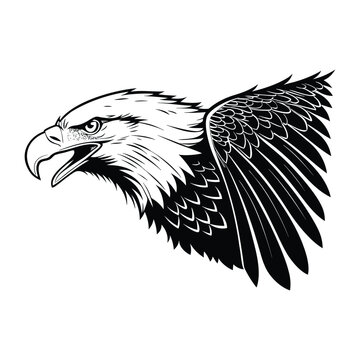 angry bald eagle head vector art illustration