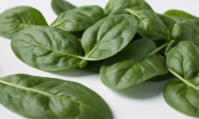 Fototapeta premium Fresh Green Spinach Leaves on White Background, Ideal for Healthy Eating