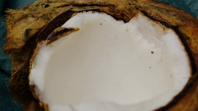 An extreme closeup of a cracked coconut shows smooth white flesh bordered by rugged brown shell and fibrous husk, capturing raw organic texture in this natural tropical food scene.