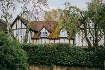 A house with a white roof and a green hedge