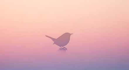 Misty Dawn Silhouette of a Bird