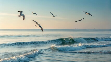 Seagulls Flying Above Calm Sea Waves