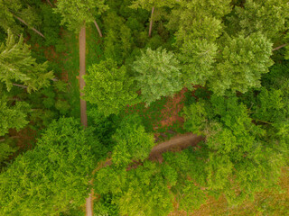 A top-down aerial view of a lush green forest with winding dirt paths cutting through dense trees,...