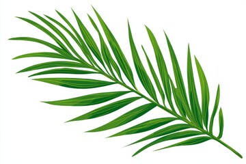 Tropical Green Palm Leaf Illustration for Summer Vibes and Natural Beauty in Design Projects
