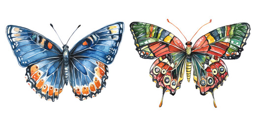 Two colorful butterflies with intricate patterns